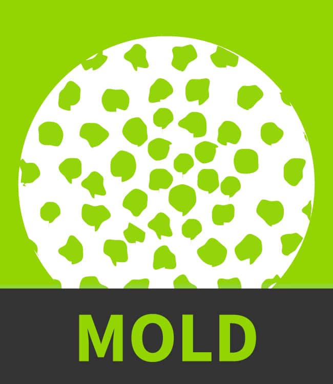 Mold Icon